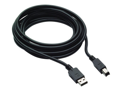HP : 300CM DP USB B-A CABLES .