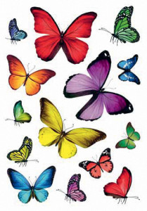 autocollants HERMA DECOR « diversité papillon »