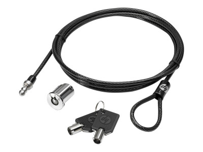 HP : DOCKING STATION cable LOCK .