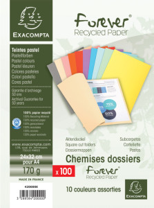EXACOMPTA Chemises FOREVER 250, A4, gris