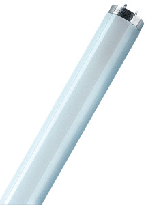 OSRAM Ampoule fluorescente LUMILUX T8, 58 Watt, G13 (840)