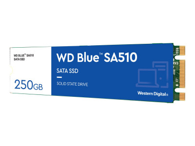 Western Digital : 250GB BLUE SSD M.2 SA510 2280 SATA III 6 GB/S