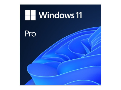Microsoft : WINDOWS PROFESSIONAL 11 64-BIT LANGUAGES ONLINE PRODUCT KEY LIC