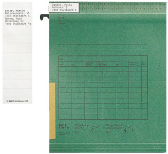LEITZ Blanko-Beschriftungsschildchen, (B)60 x (H)21 mm, grün