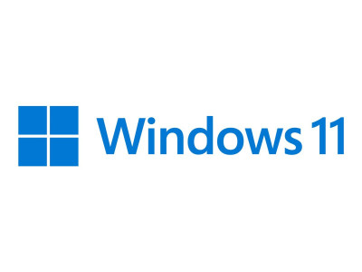 Microsoft : WIN 11 PRO pour WRKSTNS 64BIT FRENCH 1PK DSP OEI DVD (win)
