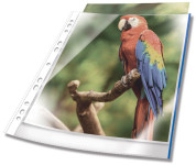 DURTABLE Pochette perforée PREMIUM, A4, PP, bordure blanche DURTABLE Pochette perforée PREMIUM, A4, PP, bordure blanche