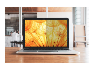 3M : BRIGHT SCREEN PRIVACY FILTER pour DELL13.0IN LAPTOPS 3:2