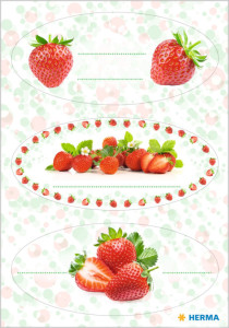 HERMA Etiquettes de cuisine choix de fruits, 76 x 28 mm