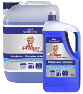 Mr Proper Professional nettoyant multi-usages, 10 l,