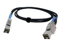 Qnap : MINI SAS cable SFF-8644 1.0M .