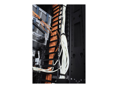 APC : VERTICAL cable MANAGER pour NET SHELTER SX 750MM WIDE 48U (QTY2)