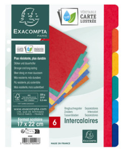 EXACOMPTA registre de carton, A4, 10-section