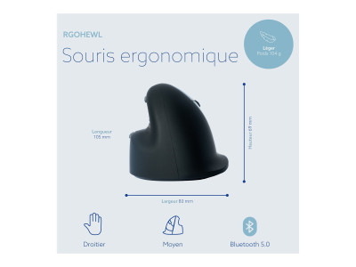 R-Go Tools R-Go HE Mouse, Souris ergonomique droitier sans fil Moyen