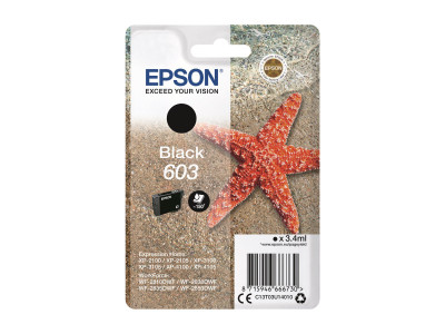 Epson : SINGLEpack BLACK 603 encre