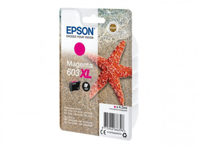 Epson : SINGLEpack MAGENTA 603XL encre