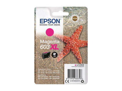 Epson : SINGLEpack MAGENTA 603XL encre