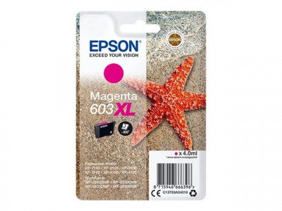 Epson : SINGLEpack MAGENTA 603XL encre