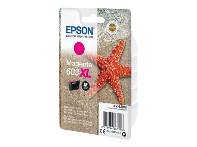 Epson : SINGLEpack MAGENTA 603XL encre