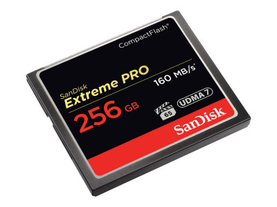 SANDISK : COMPACT FLASH card 256GB EXTREME PRO 160MB/S VERSION