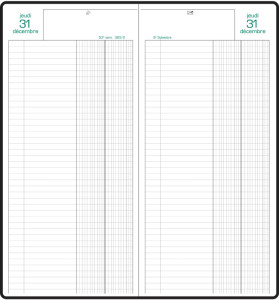 EXACOMPTA Agenda Banquier long 2019, noir, 1 volume