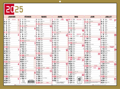 EXACOMPTA Calendrier tricolore neutre 2019, 130 x 170 mm