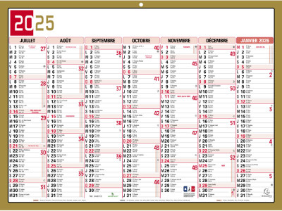 EXACOMPTA Calendrier tricolore neutre 2019, 130 x 170 mm