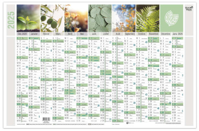 QUO VADIS Calendrier mural 