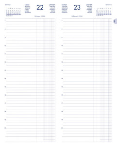 LECAS Agenda journalier Long Euros Cents 2019, 140 x 350 mm,