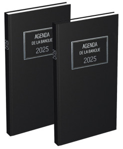 LECAS Agenda de Banque Long Privilège 2019, 150 x 340 mm