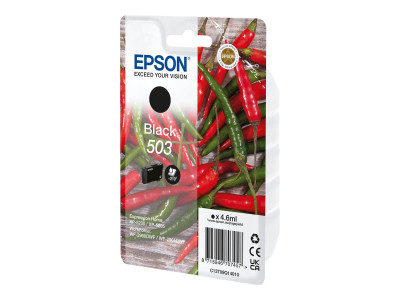 Epson : SINGLEpack BLACK 503 cartouche d'encre