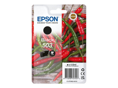 Epson : SINGLEpack BLACK 503 cartouche d'encre