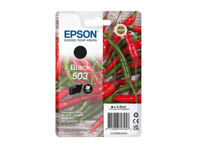 Epson : SINGLEpack BLACK 503 cartouche d'encre