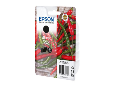 Epson : SINGLEpack BLACK 503 cartouche encre