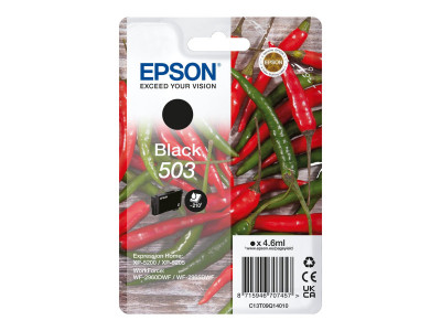 Epson : SINGLEpack BLACK 503 cartouche encre