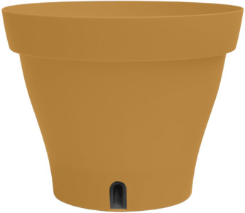 Poétic Pot de fleurs PAPYRUS, diamètre: 290 mm, laurier vert
