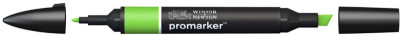 LEFRANC BOURGEOIS WINSOR & NEWTON Promarker, or