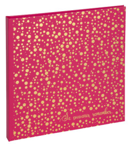 EXACOMPTA Album photos Plum, 250 x 250 mm, turquoise/doré