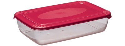 plast team Boîte de congélation Polar, 0,45 litre, rouge