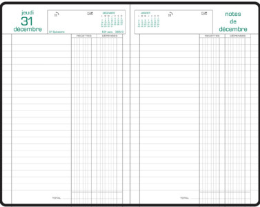 EXACOMPTA Agenda Carré Recettes/Dépenses, 2025, assorti