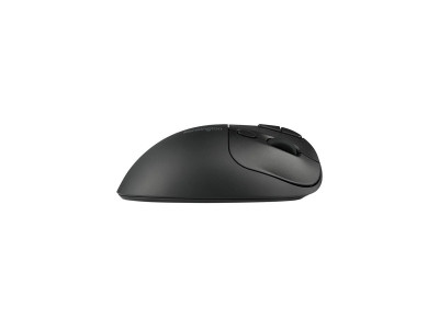 Kensington : PROFIT ERGO TB450 TRACKBALL F PROFIT ERGO TB450 TRACKBALL BLK