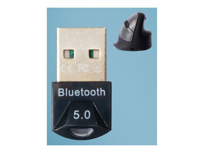 R-Go Tools : R-GO BLUETOOTH ADAPTER USB 5.0