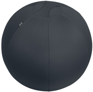 LEITZ Ballon d'assise Ergo Active, diamètre: 550 mm, gris