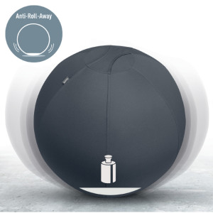 LEITZ Ballon d'assise Ergo Active, diamètre: 550 mm, gris