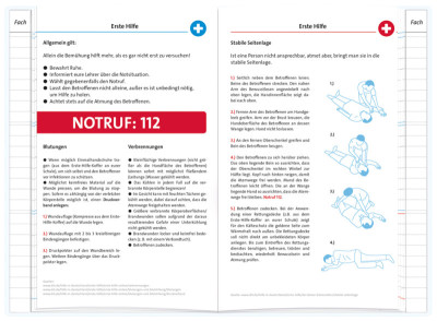 ROTH Hausaufgabenheft Teens für clevere Faule 