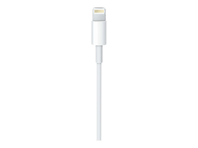 Apple : USB-C TO LIGHTNING cable (1M)