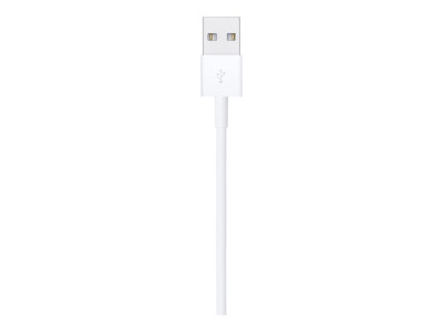 Apple : LIGHTNING TO USB cable (1M)