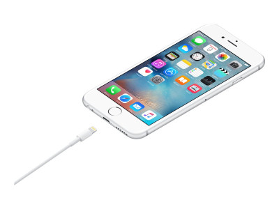 Apple : LIGHTNING TO USB cable (1M)