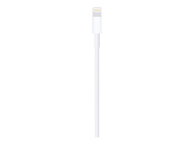 Apple : LIGHTNING TO USB cable (1M)