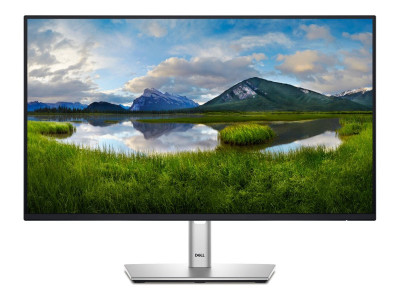 Dell : DELL 24 MONITOR - P2425H