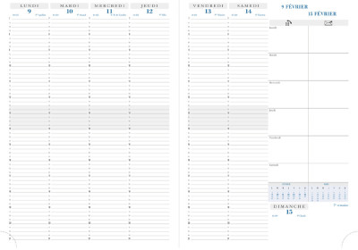 EXACOMPTA Agenda de bureau 